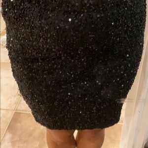 Haute Hippie sequence skirt